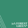 Forest Green * (PR31A)